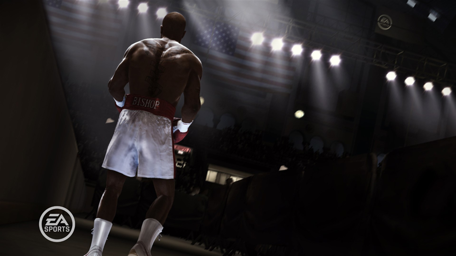 FIGHT NIGHT CHAMPION