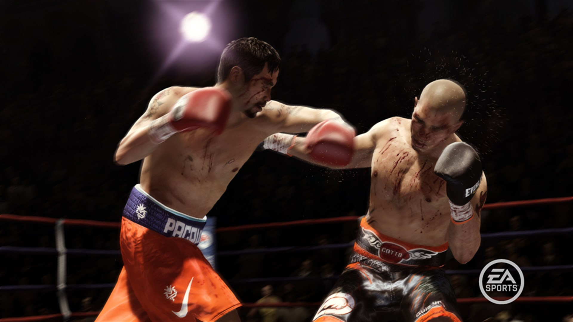 FIGHT NIGHT CHAMPION