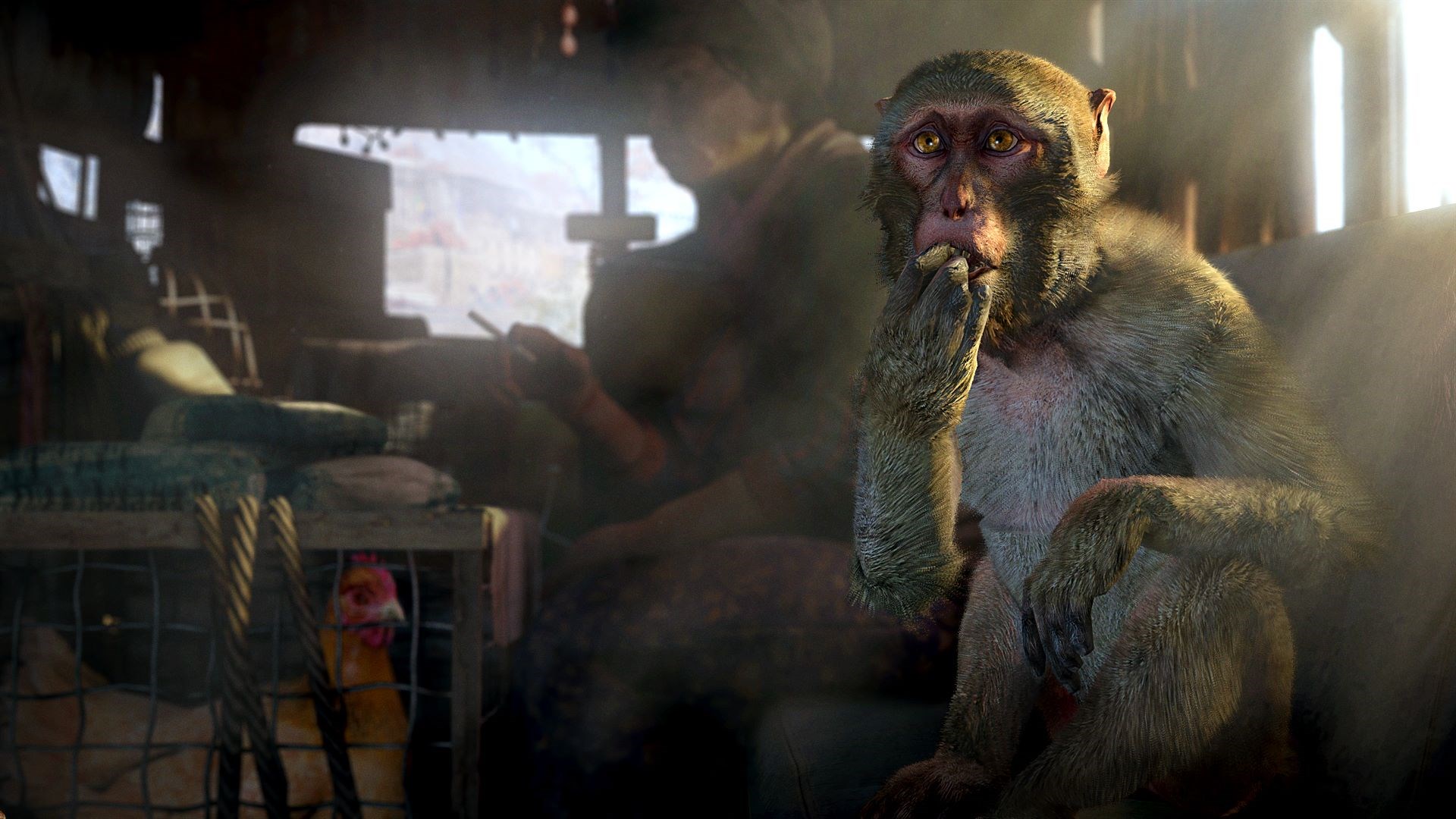 FAR CRY 4 + FAR CRY PRIMAL BUNDLE